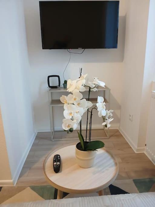 Appartement F1 Orchidee Mulhouse Buitenkant foto